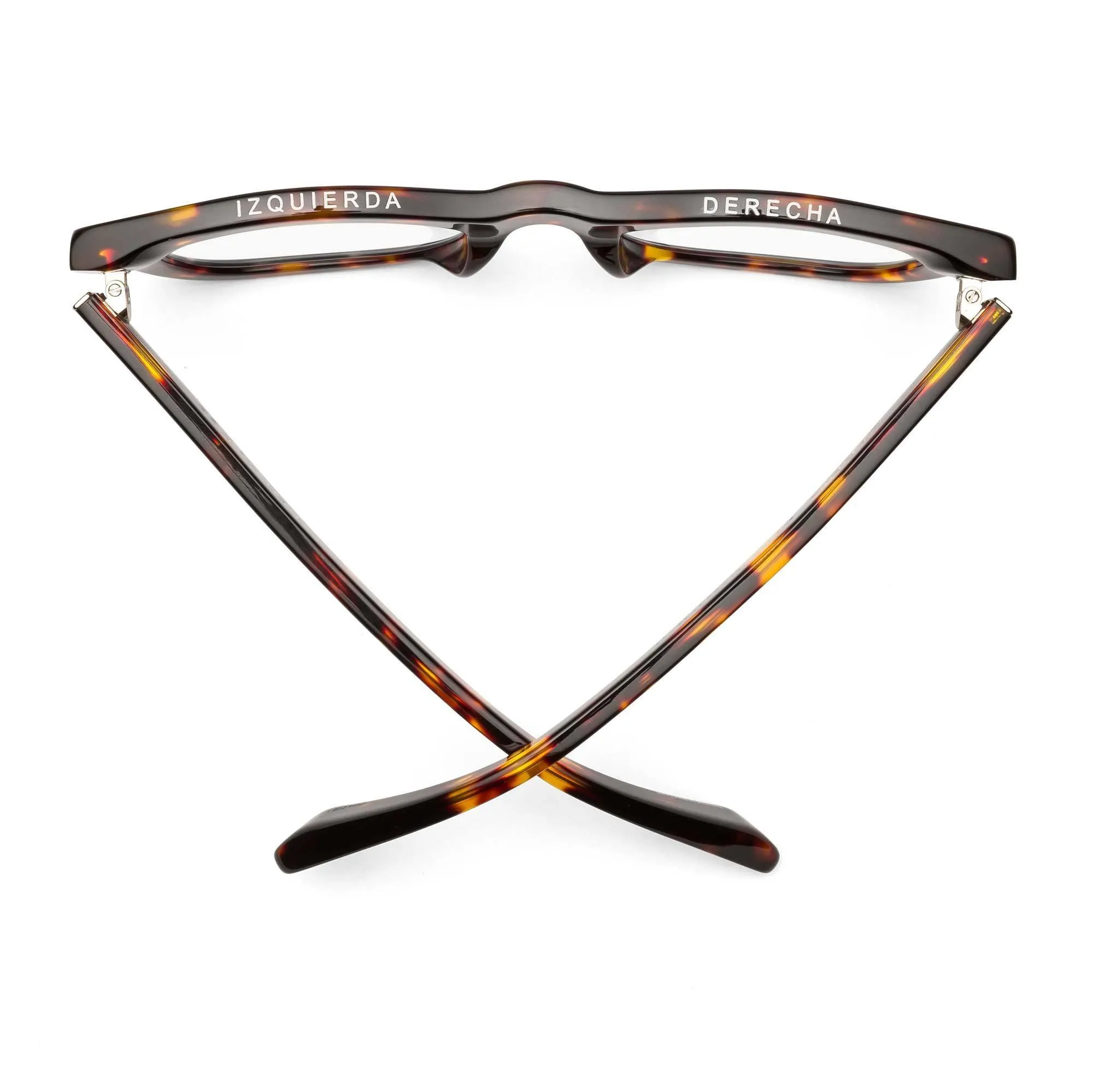 D28- Turtle - Gloss Tortoise