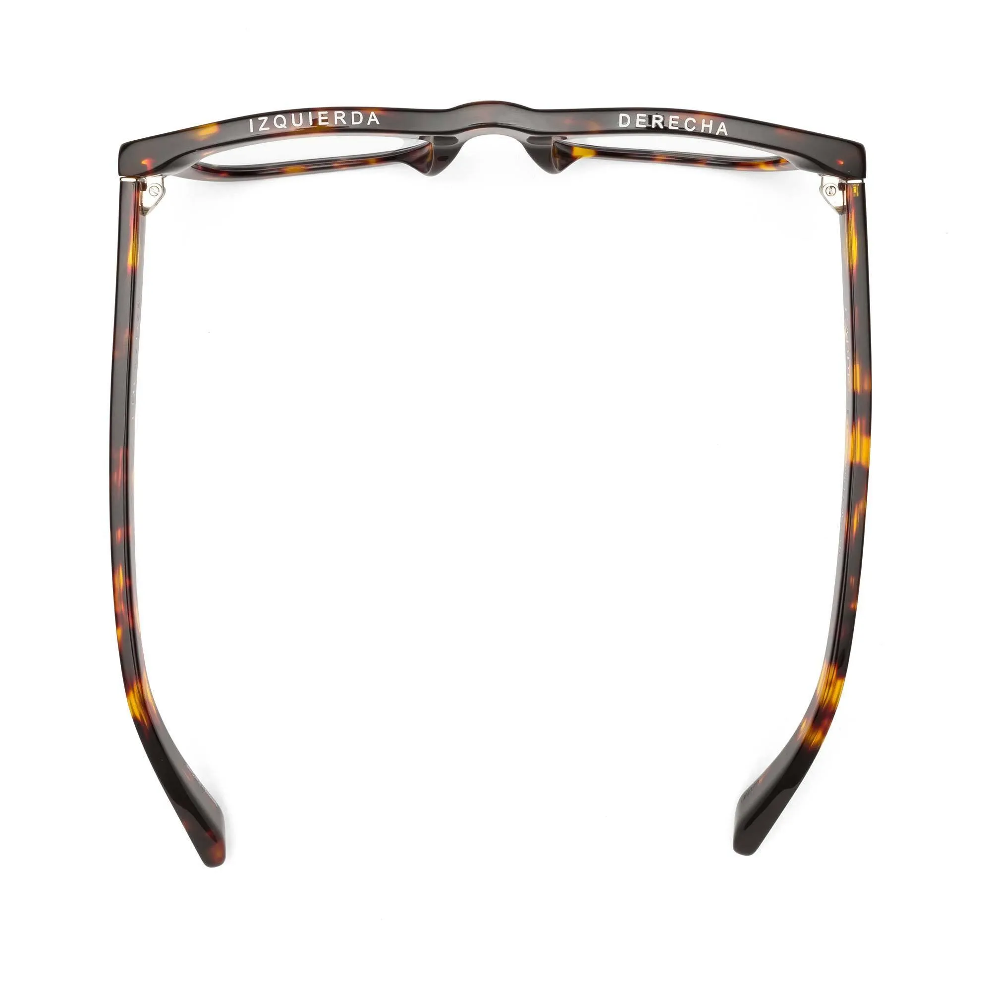 D28- Turtle - Gloss Tortoise
