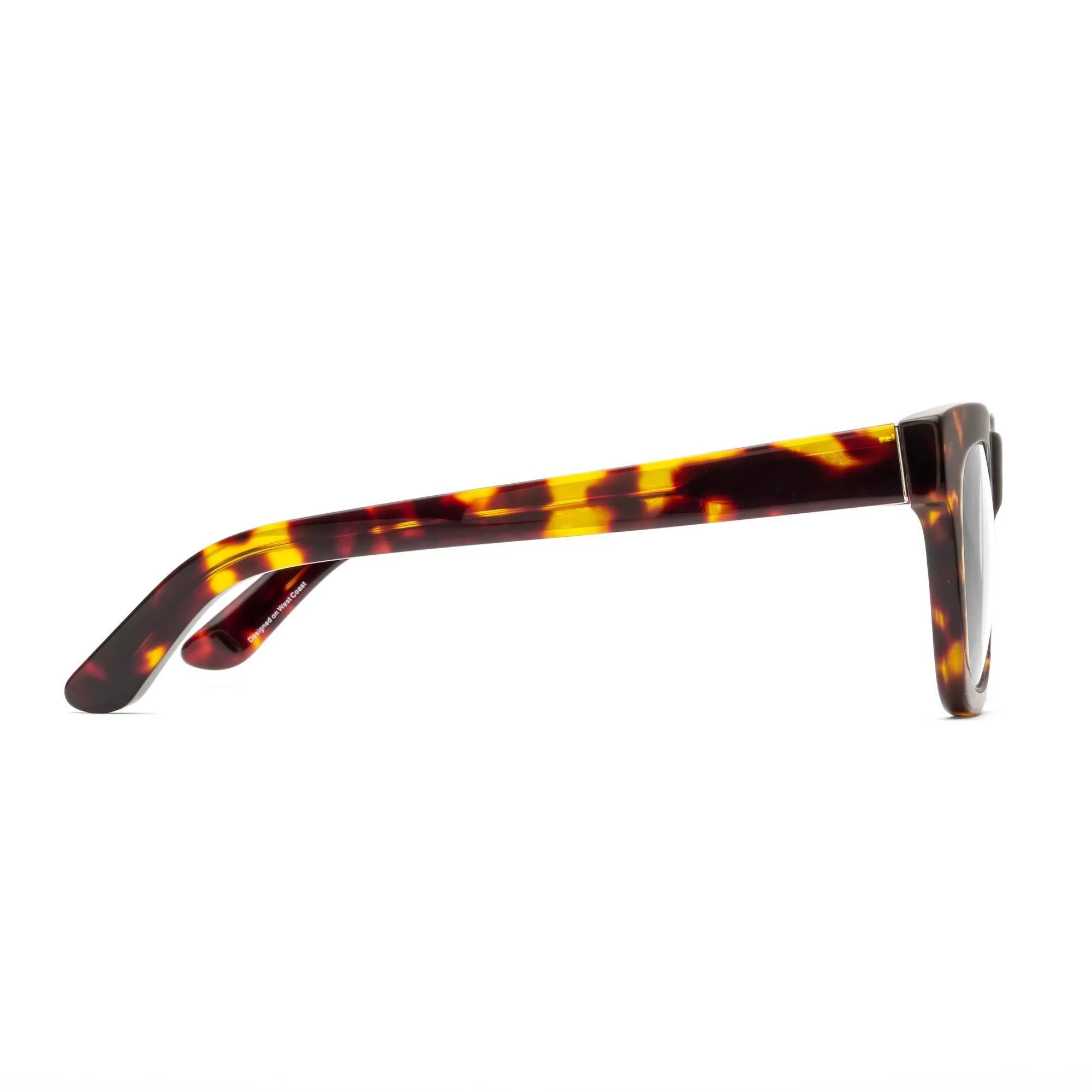 D28- Turtle - Gloss Tortoise