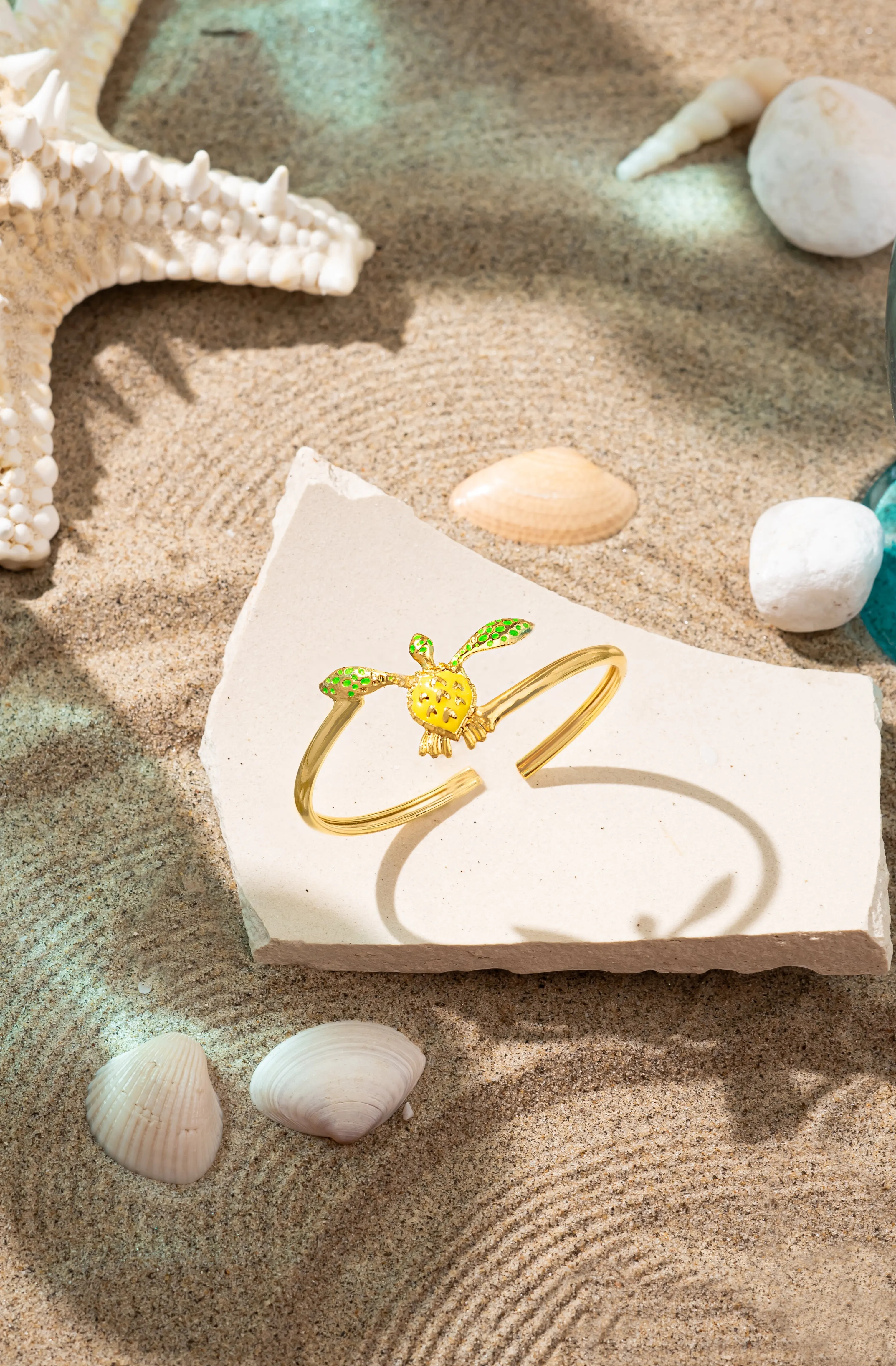 Galápagos Ring